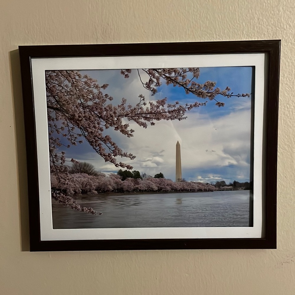 Cherry Blossoms and Washington Monument 8” x 10” Print